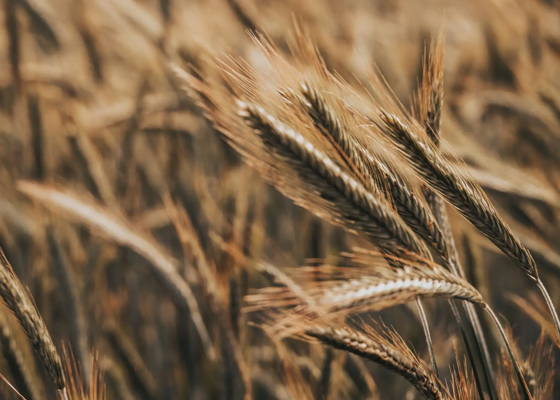 重庆制造业ERP采购模块部署：探信科技规范化流程设计要点