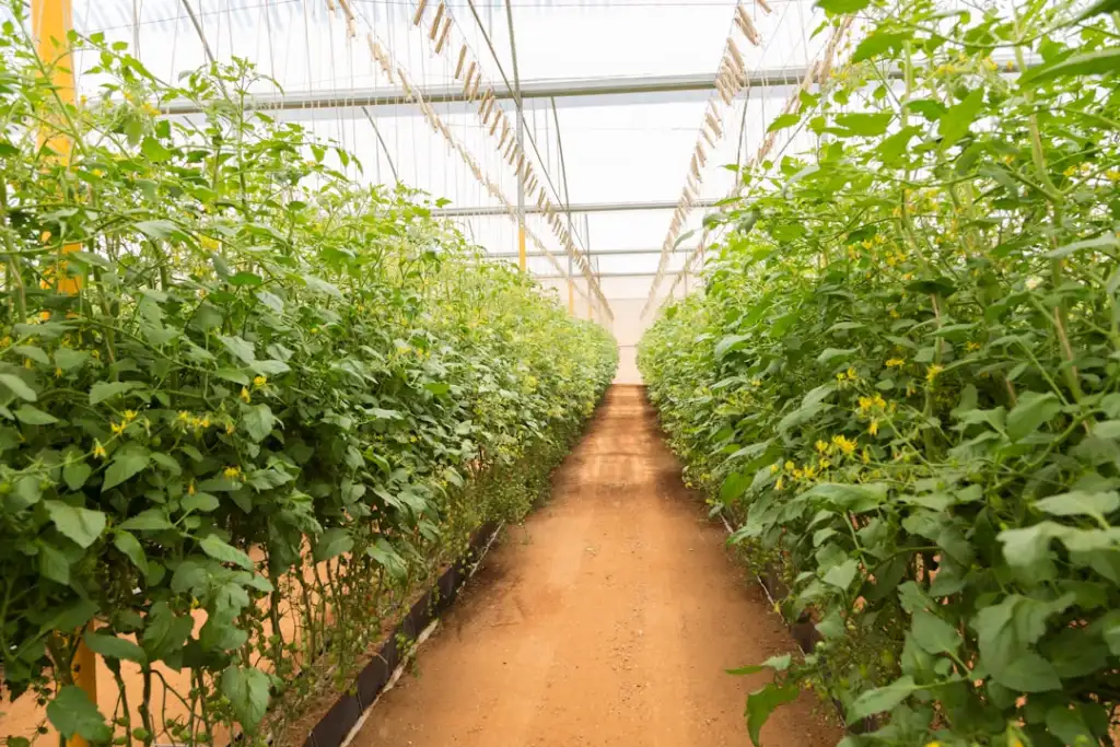 探信科技ERP销售模块与采购模块协同应用案例分析