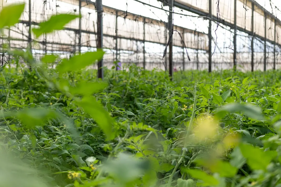 重庆企业ERP选型指南：销售模块与采购模块的集成应用